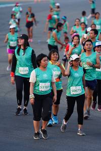 BIB: 500, 51319, 53107, 50673
                            <button type="button" onclick="openModal(10522121)" class="btn btn-primary btn-sm float-right btn-popup" data-toggle="modal" data-target=".modal-high-quality">
                        <i class="fas fa-shopping-cart"></i> Add to Cart
                    </button>
                                            <button type="button" onclick="isThisMe(10522121, true)" class="btn btn-success btn-sm float-right btn-popup btn-isme hidden" data-toggle="tooltip" data-placement="bottom" title="นี่คือรูปของคุณใช่ไหม คลิกที่นี่เพื่อเอาเข้าอัลบั้ม">
                        <i class="fas fa-plus"></i> Add to album
                    </button>
                    <button type="button" onclick="isThisMe(10522121, false)" class="btn btn-warning btn-sm float-right btn-popup btn-isnotme hidden">
                        <i class="fas fa-ban"></i> Remove from album
                    </button>